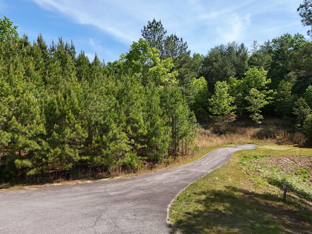Lot 101 Big Knoll Drive, Blairsville GA 30512 - Photo