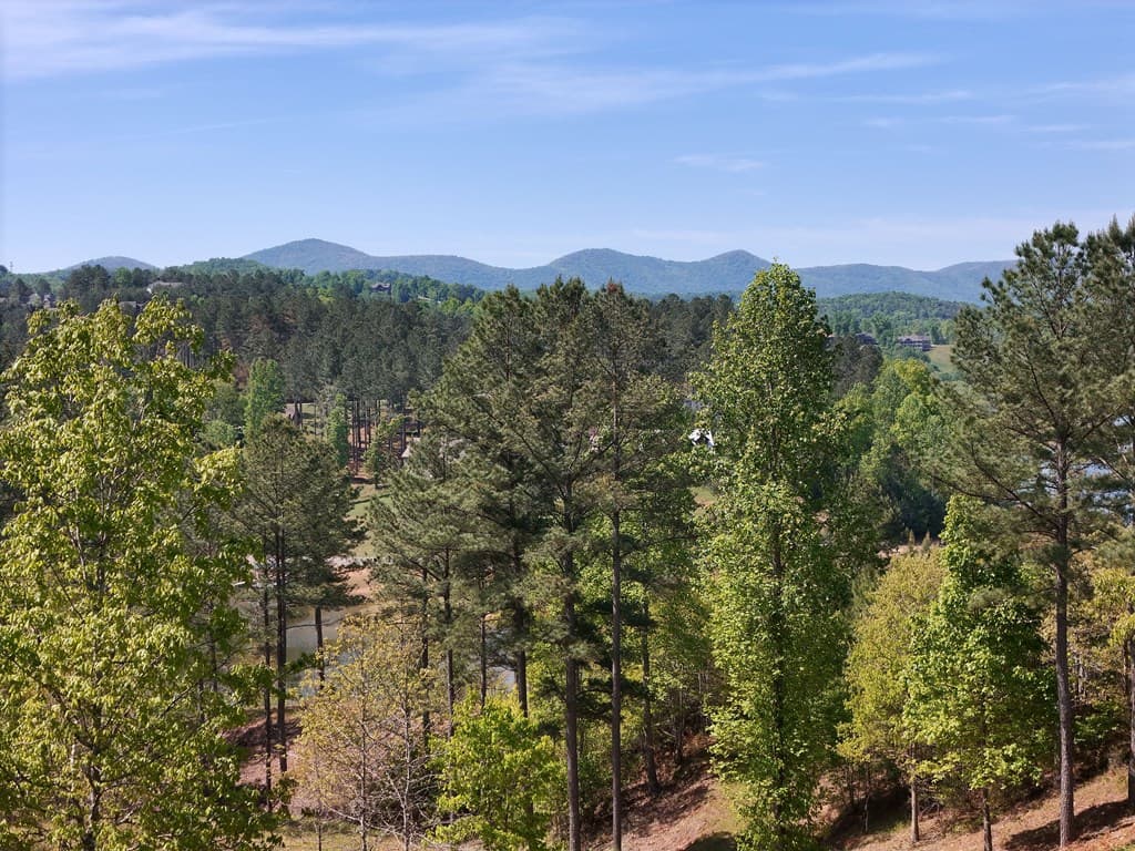 Lot 101 Big Knoll Drive, Blairsville GA 30512 - Photo