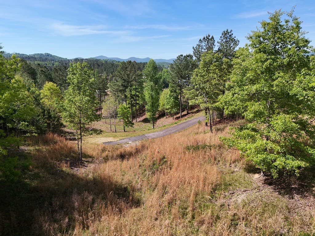 Lot 101 Big Knoll Drive, Blairsville GA 30512 - Photo