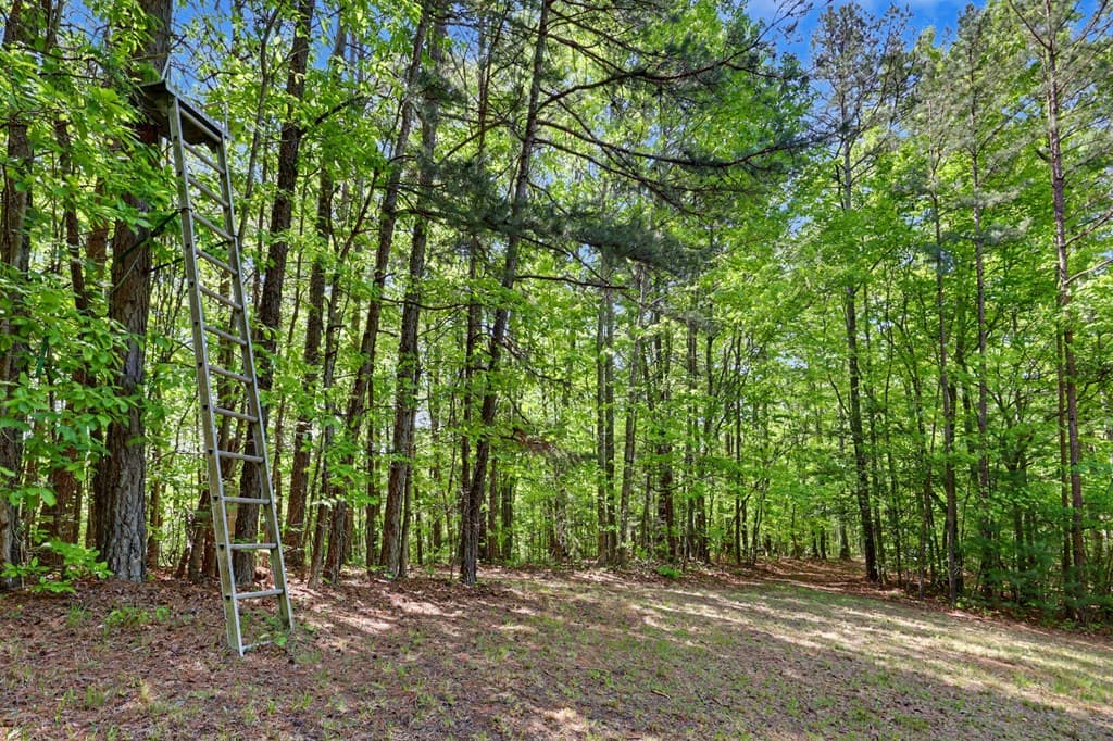 3235 Hiwassee Dam Access, Murphy NC 28906 - Photo