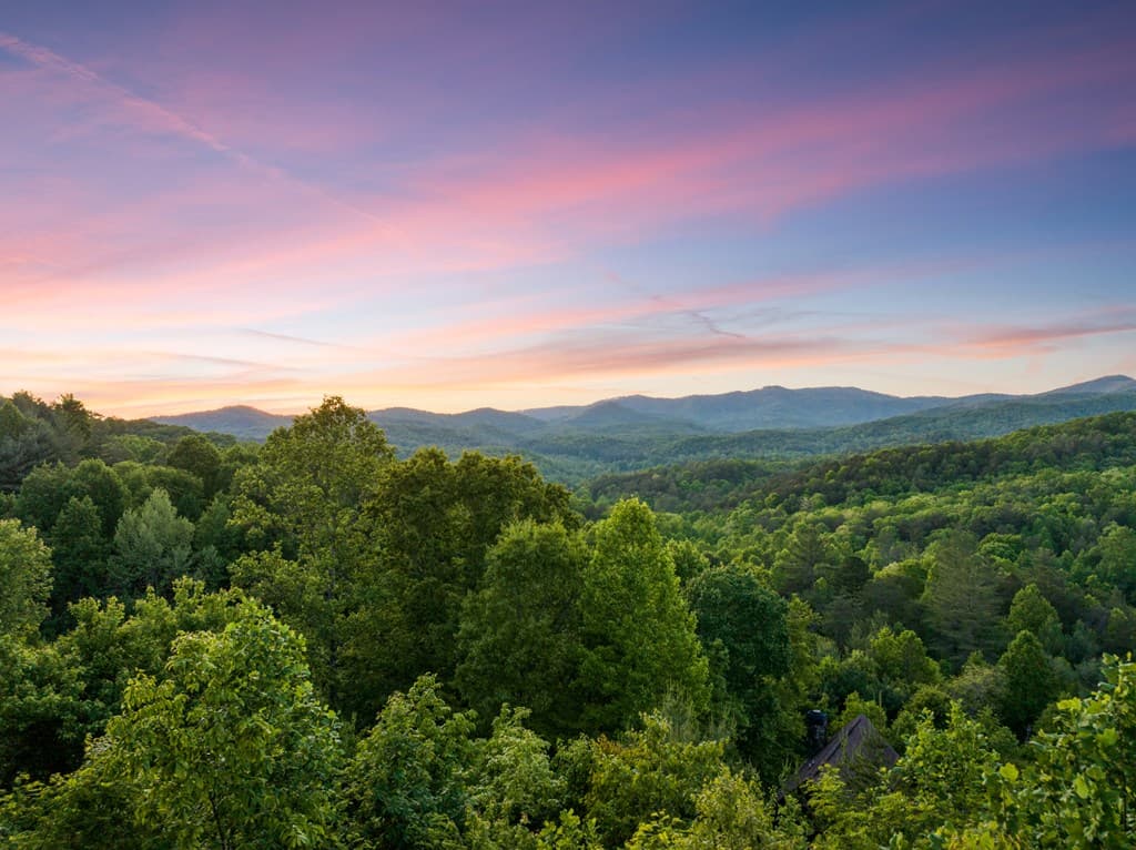 115 Mountain High Drive, Mineral Bluff GA 30559 - Photo