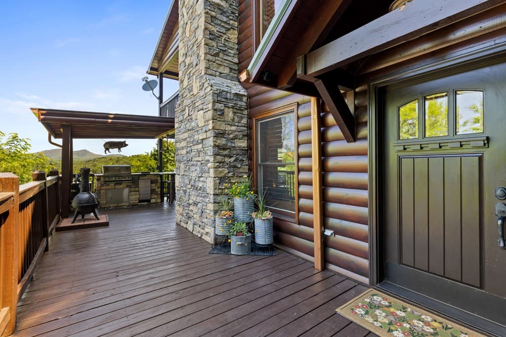 115 Mountain High Drive, Mineral Bluff GA 30559 - Photo