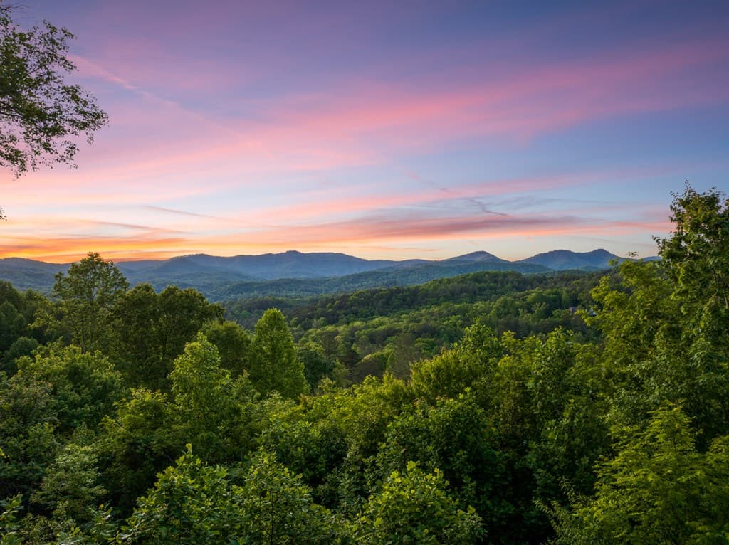 115 Mountain High Drive, Mineral Bluff GA 30559 - Photo