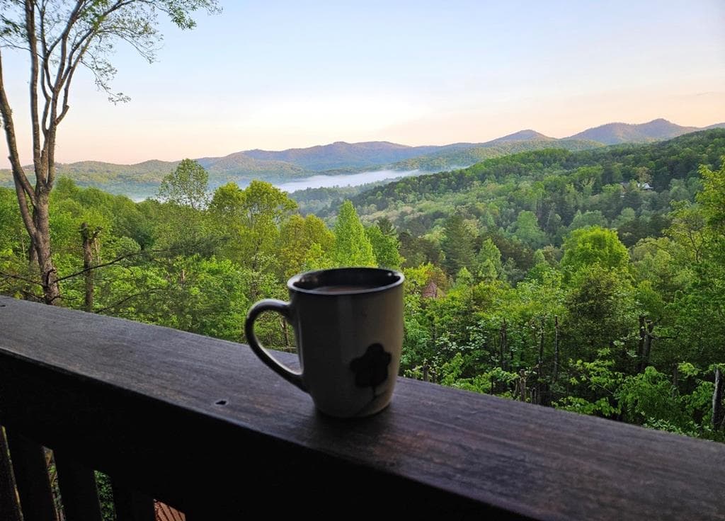 115 Mountain High Drive, Mineral Bluff GA 30559 - Photo