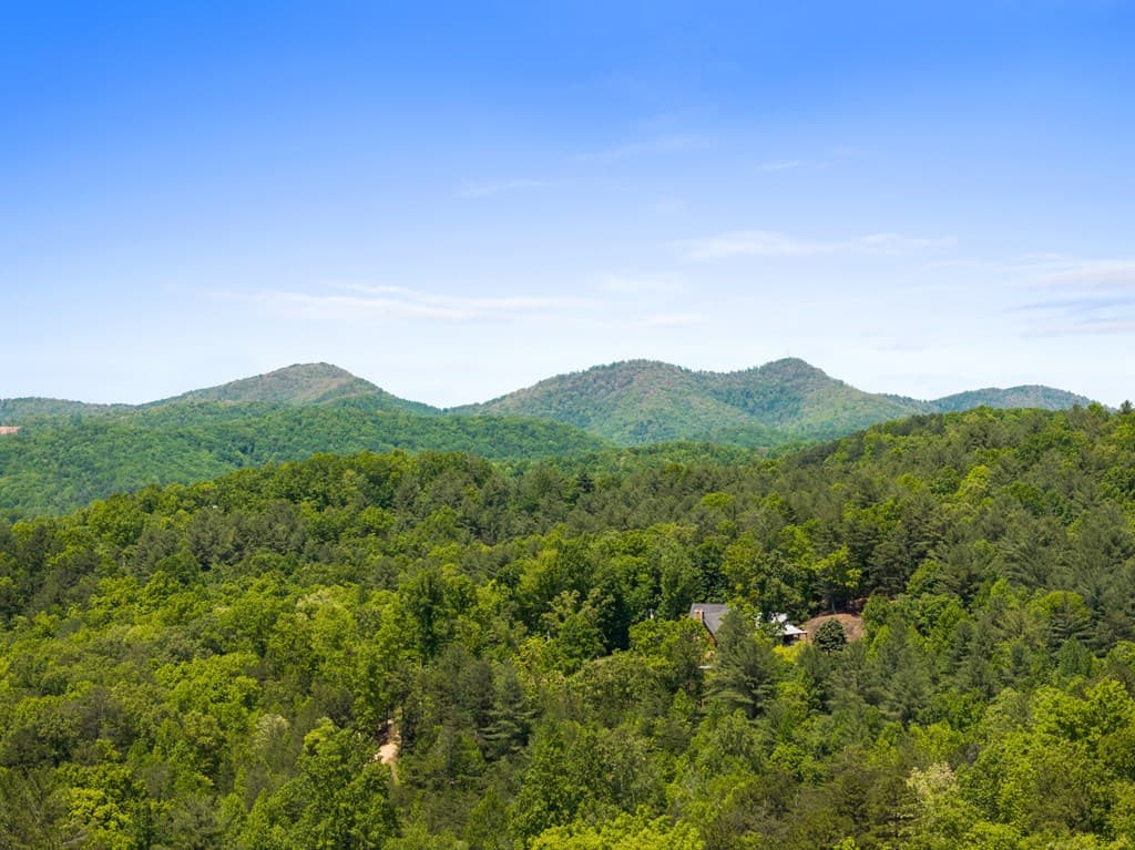 115 Mountain High Drive, Mineral Bluff GA 30559 - Photo