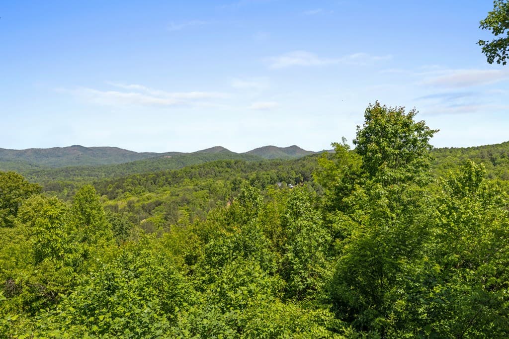 115 Mountain High Drive, Mineral Bluff GA 30559 - Photo