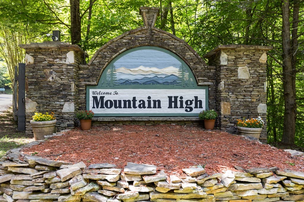 115 Mountain High Drive, Mineral Bluff GA 30559 - Photo