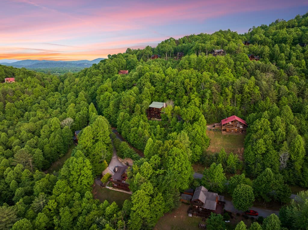 115 Mountain High Drive, Mineral Bluff GA 30559 - Photo