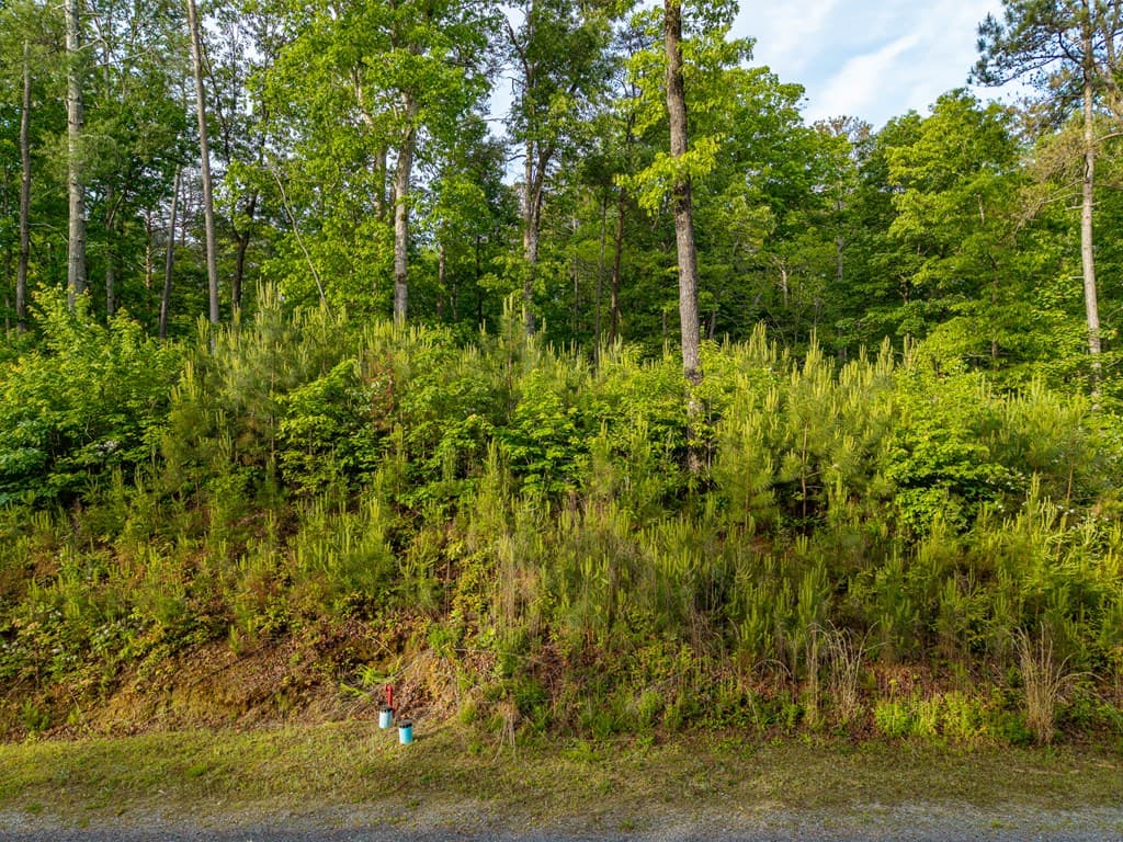 Lt 45 Hilton Drive, Ellijay GA 30540 - Photo