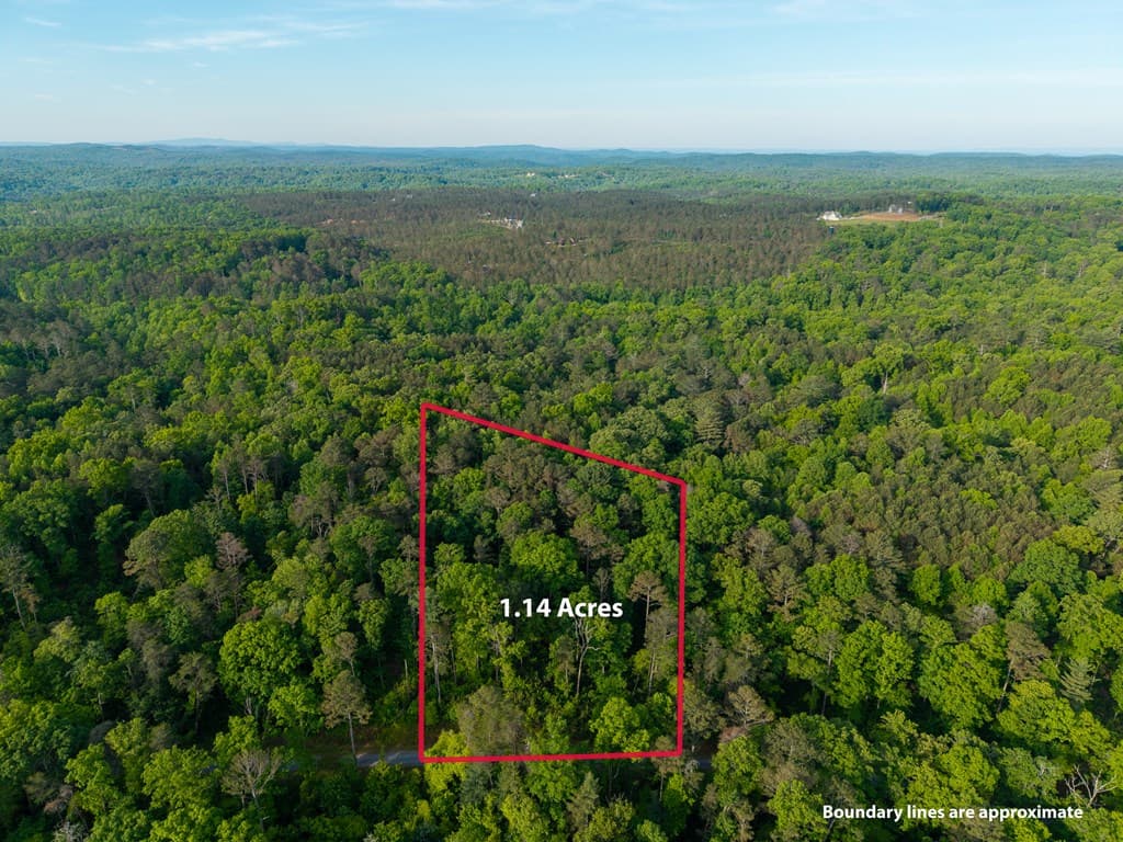 Lt 45 Hilton Drive, Ellijay GA 30540 - Photo