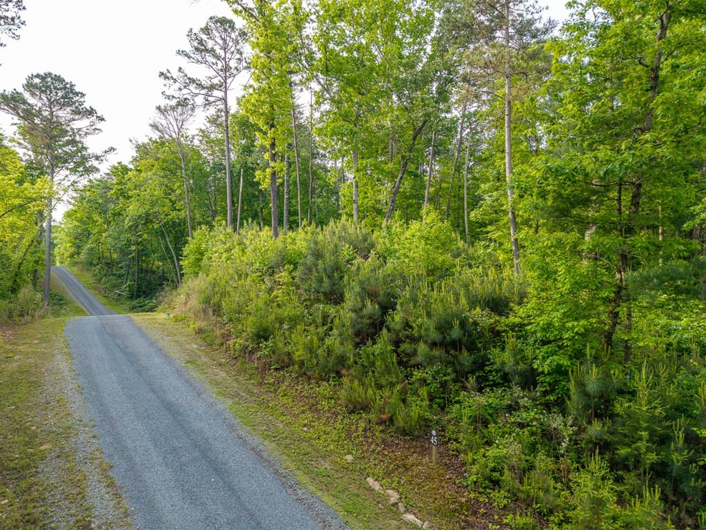 Lt 45 Hilton Drive, Ellijay GA 30540 - Photo