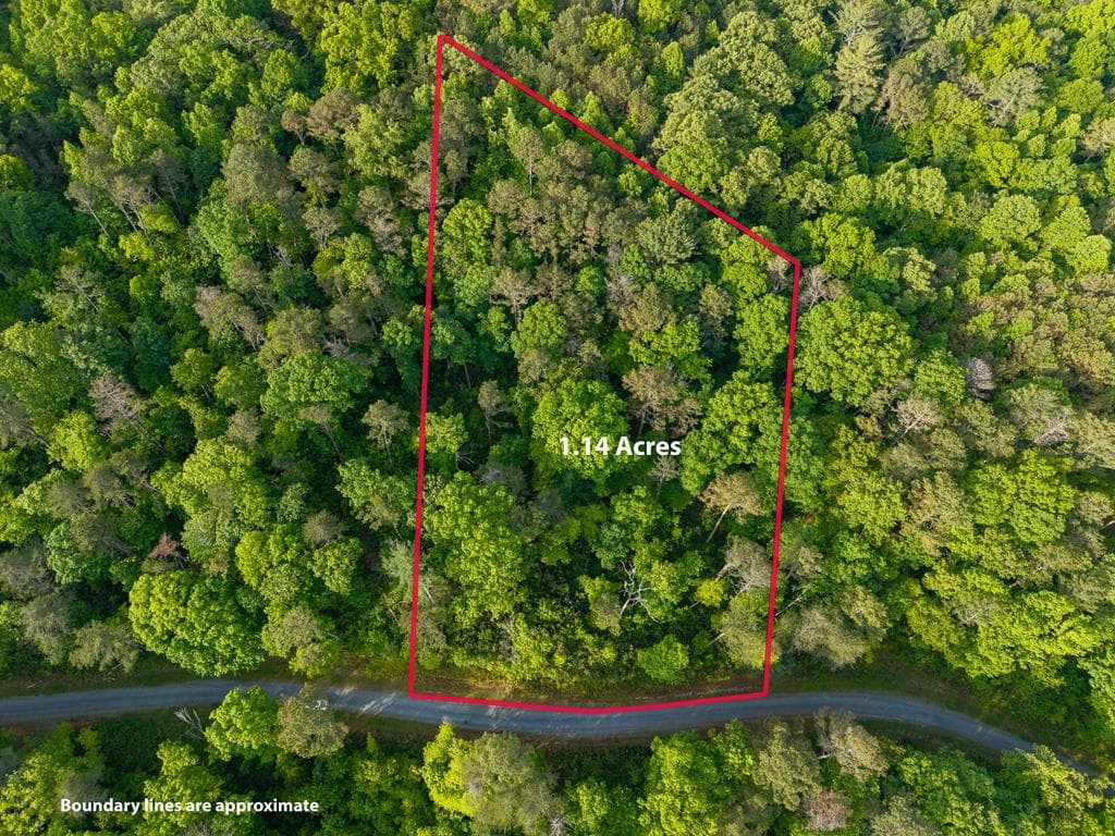 Lt 45 Hilton Drive, Ellijay GA 30540 - Primary photo