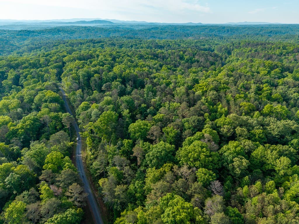 Lt 45 Hilton Drive, Ellijay GA 30540 - Photo