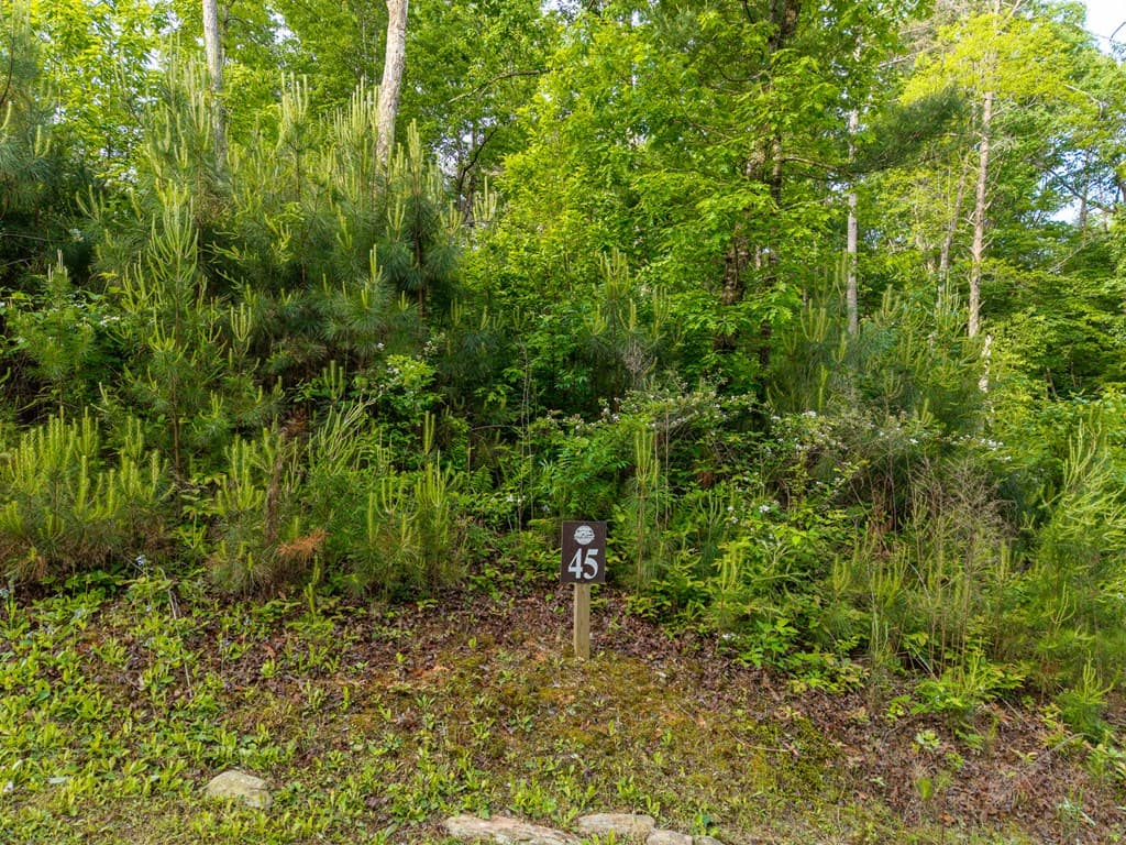 Lt 45 Hilton Drive, Ellijay GA 30540 - Photo