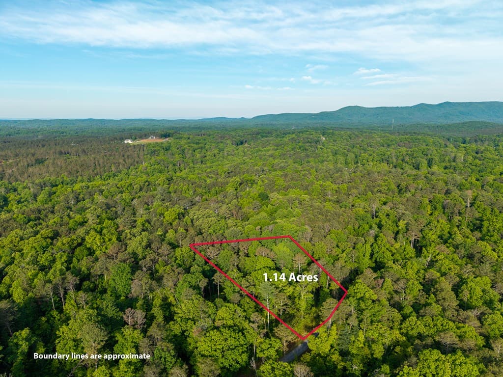 Lt 45 Hilton Drive, Ellijay GA 30540 - Photo