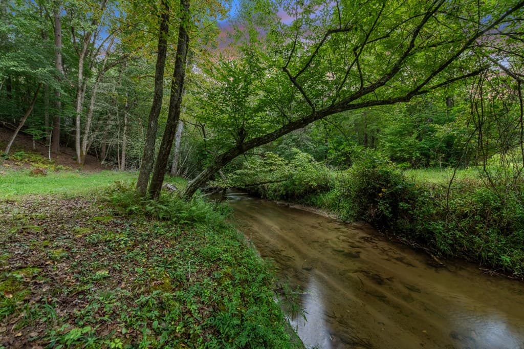 215 Twin Creeks, Blue Ridge GA 30513 - Photo