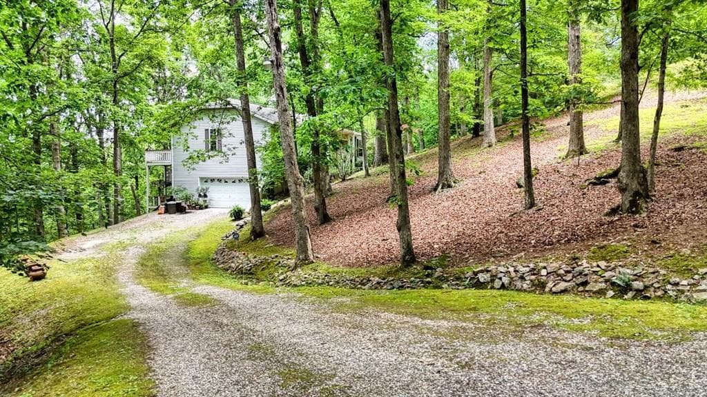 171 Mountain Top Road, Blairsville GA 30512 - Photo