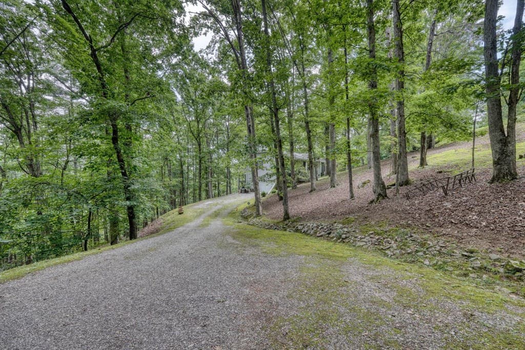 171 Mountain Top Road, Blairsville GA 30512 - Photo