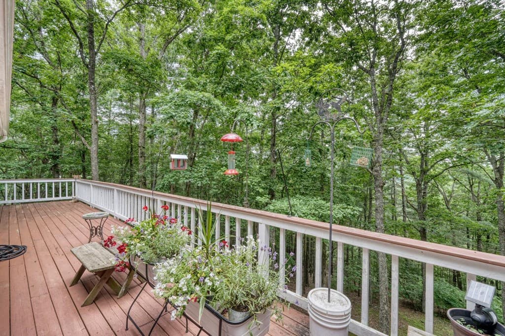 171 Mountain Top Road, Blairsville GA 30512 - Photo