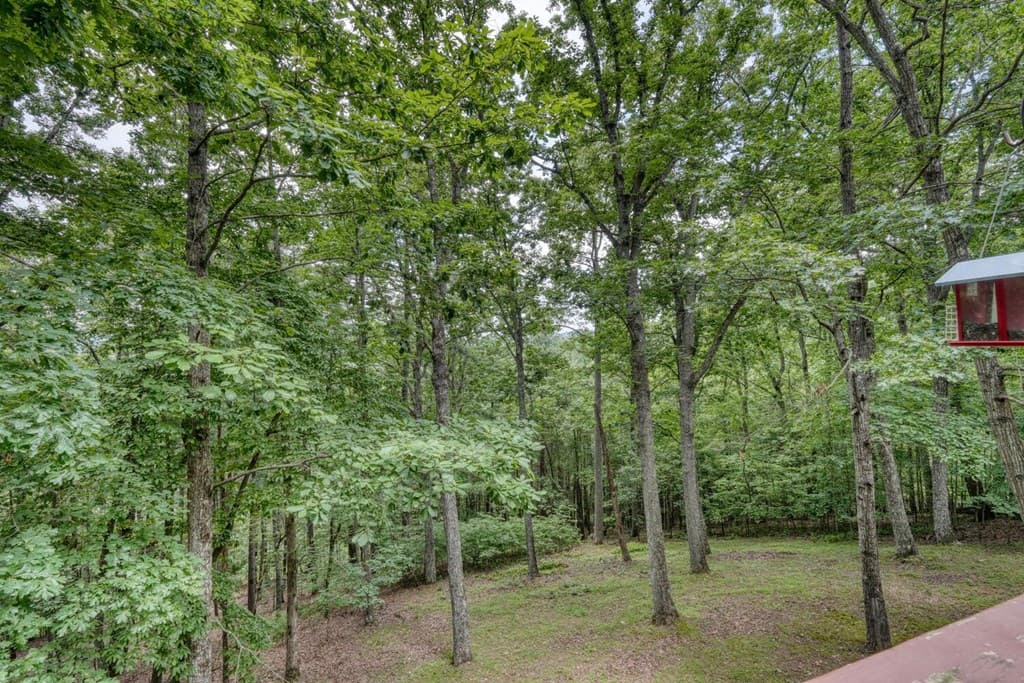 171 Mountain Top Road, Blairsville GA 30512 - Photo