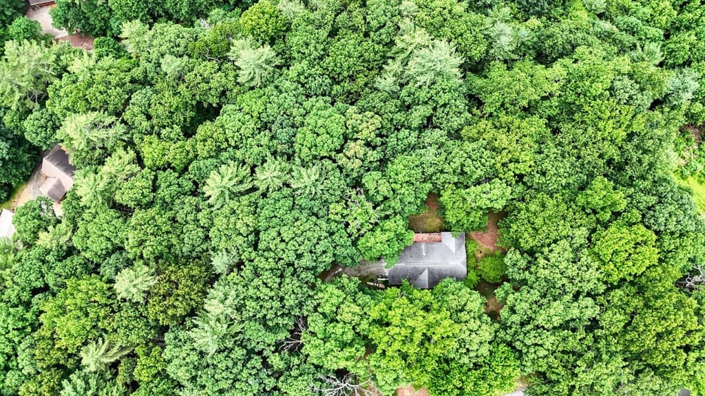 171 Mountain Top Road, Blairsville GA 30512 - Photo