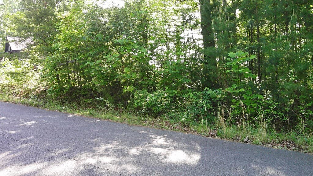 00 Fain Peak Drive, Murphy NC 28906 - Photo