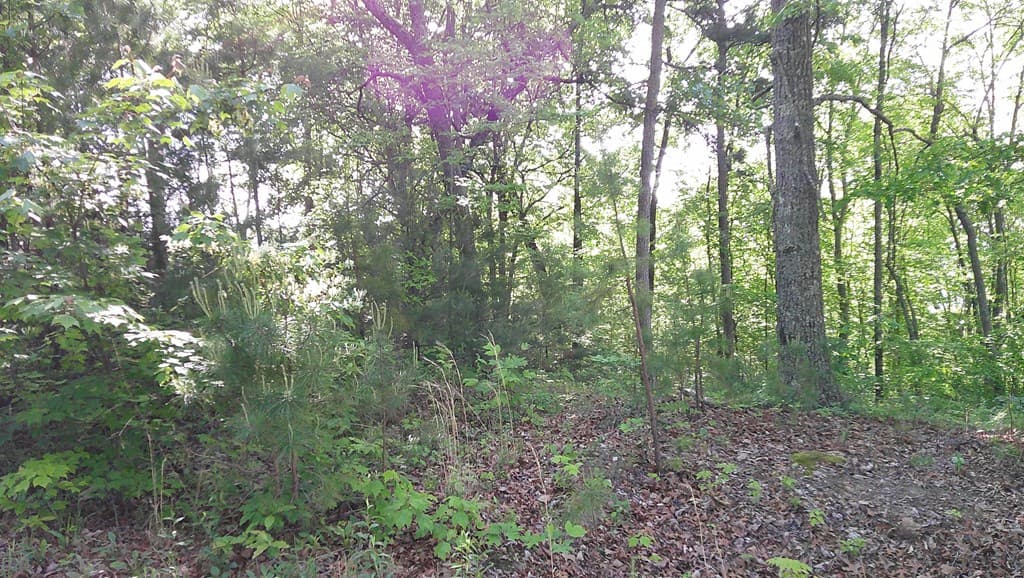 00 Fain Peak Drive, Murphy NC 28906 - Photo