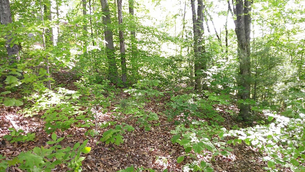 00 Fain Peak Drive, Murphy NC 28906 - Photo