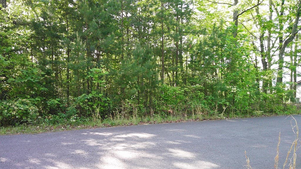 00 Fain Peak Drive, Murphy NC 28906 - Photo