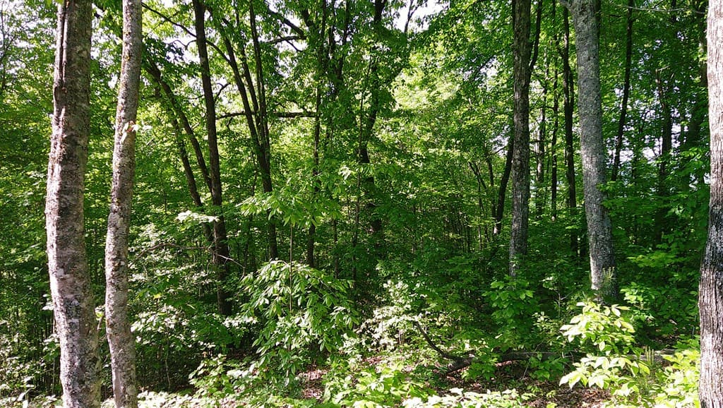 00 Fain Peak Drive, Murphy NC 28906 - Photo