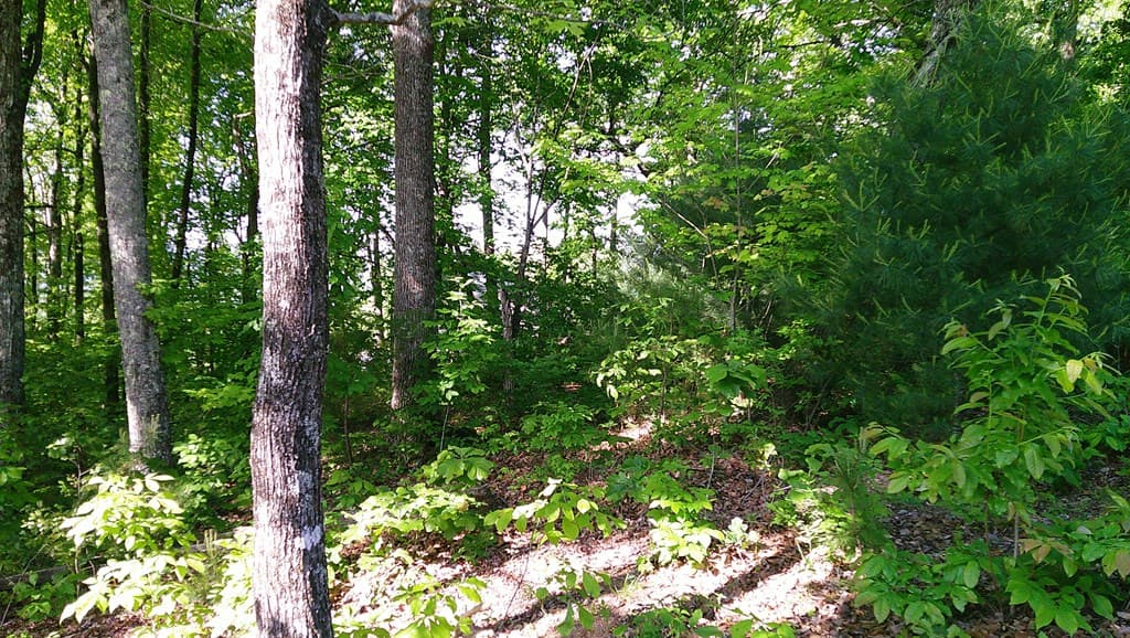 00 Fain Peak Drive, Murphy NC 28906 - Photo
