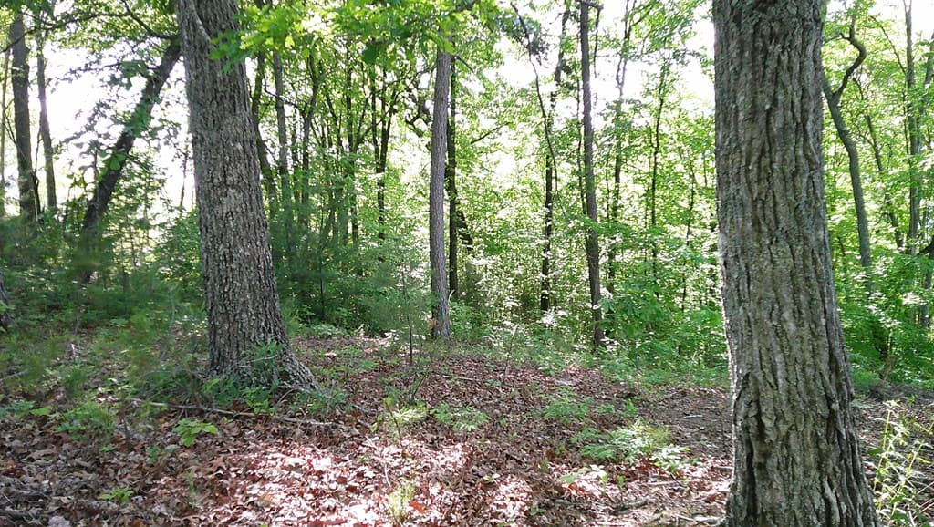 00 Fain Peak Drive, Murphy NC 28906 - Photo
