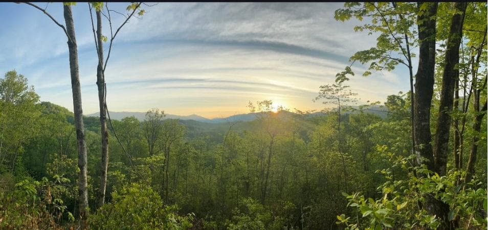 256 Hillside Lane, Andrews NC 28901 - Photo