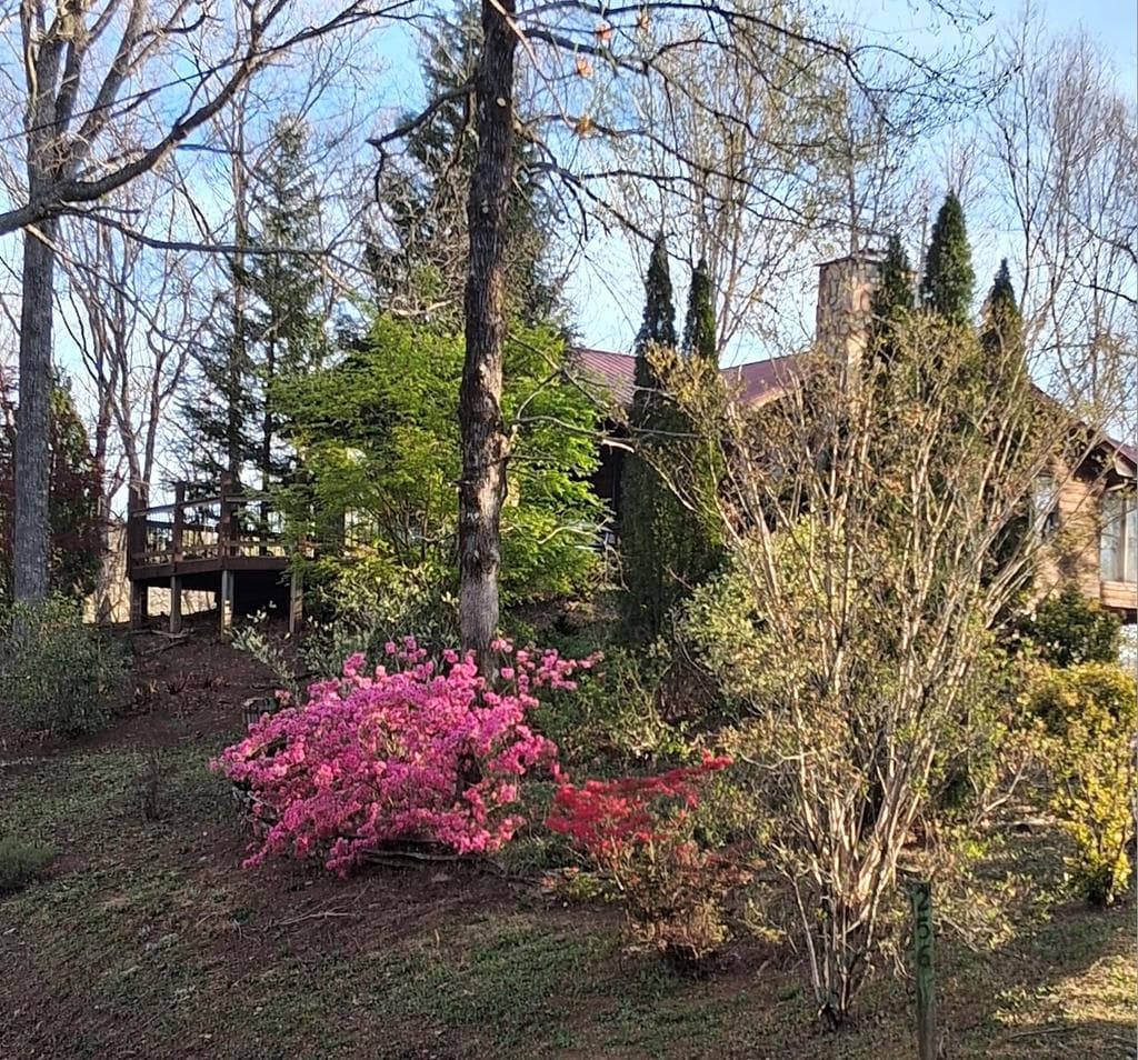 256 Hillside Lane, Andrews NC 28901 - Photo
