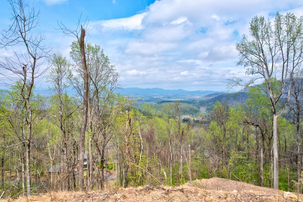 Lt 12&13 Greystone Trace, Ellijay GA 30540 - Photo