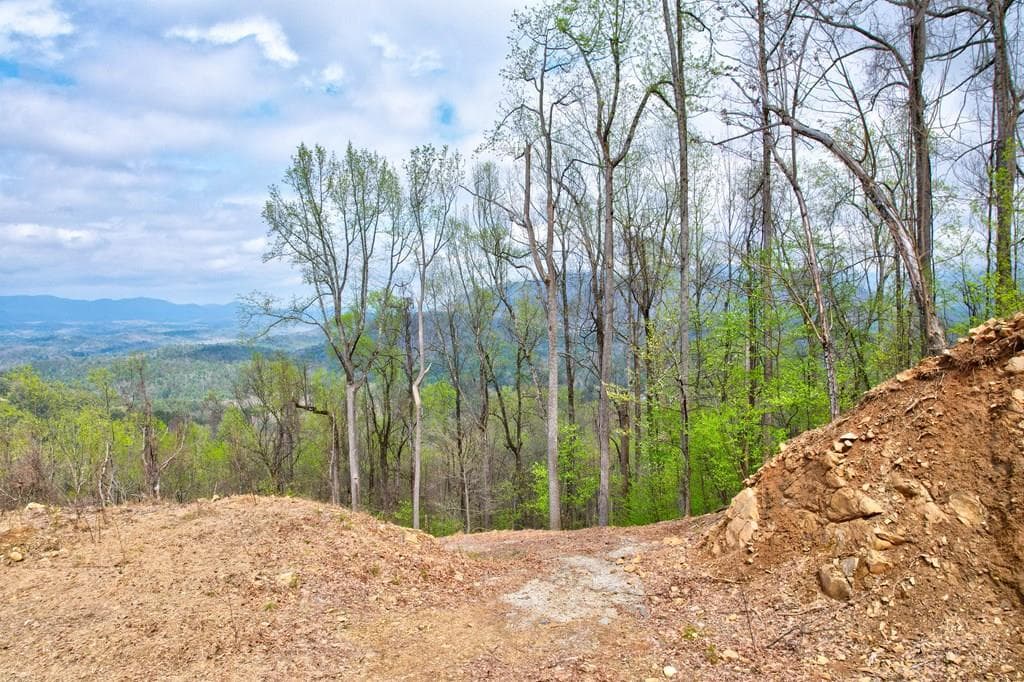 Lt 12&13 Greystone Trace, Ellijay GA 30540 - Photo