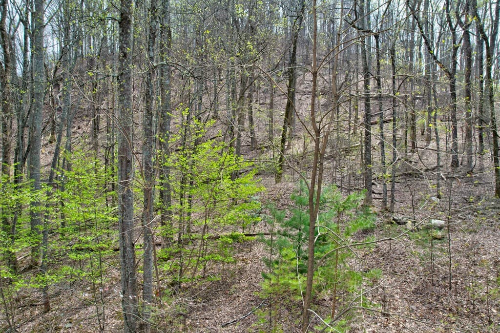 Lt 12&13 Greystone Trace, Ellijay GA 30540 - Photo