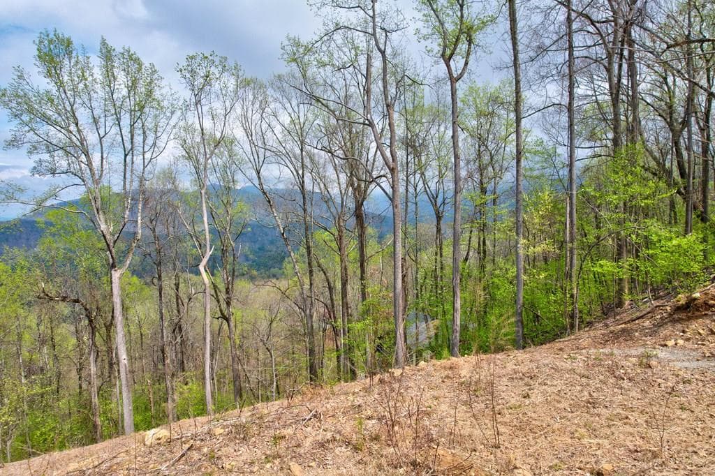 Lt 12&13 Greystone Trace, Ellijay GA 30540 - Primary photo