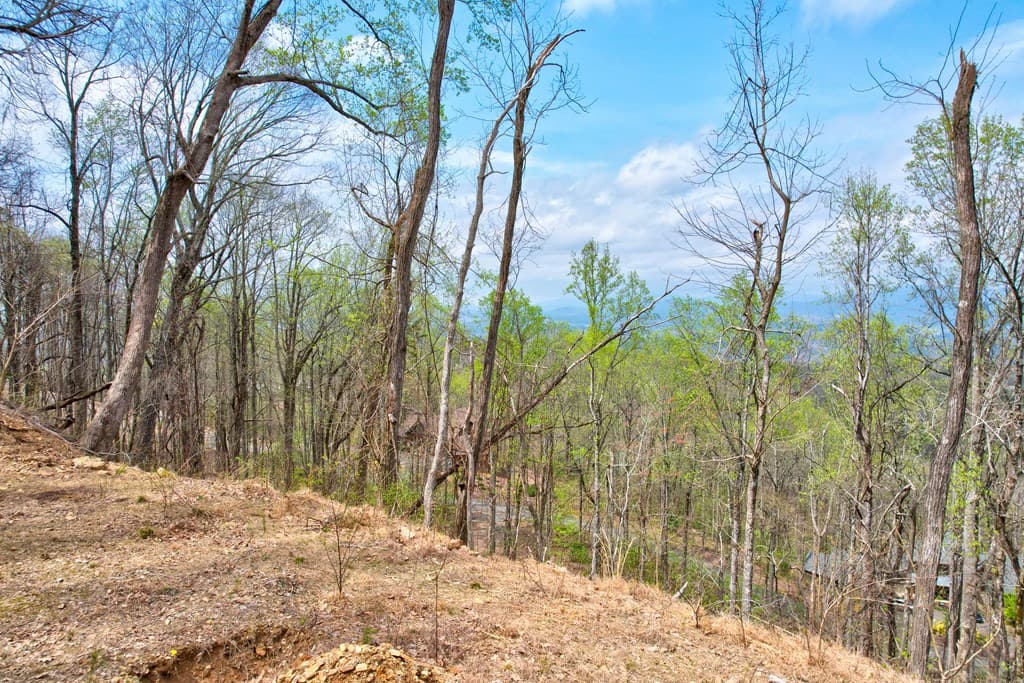 Lt 12&13 Greystone Trace, Ellijay GA 30540 - Photo