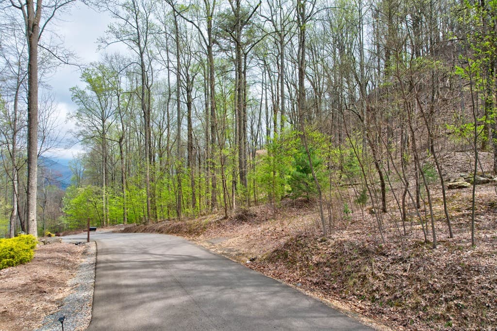 Lt 12&13 Greystone Trace, Ellijay GA 30540 - Photo