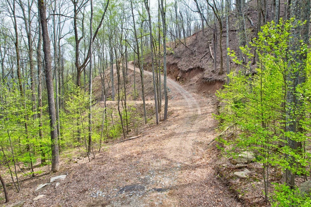 Lt 12&13 Greystone Trace, Ellijay GA 30540 - Photo