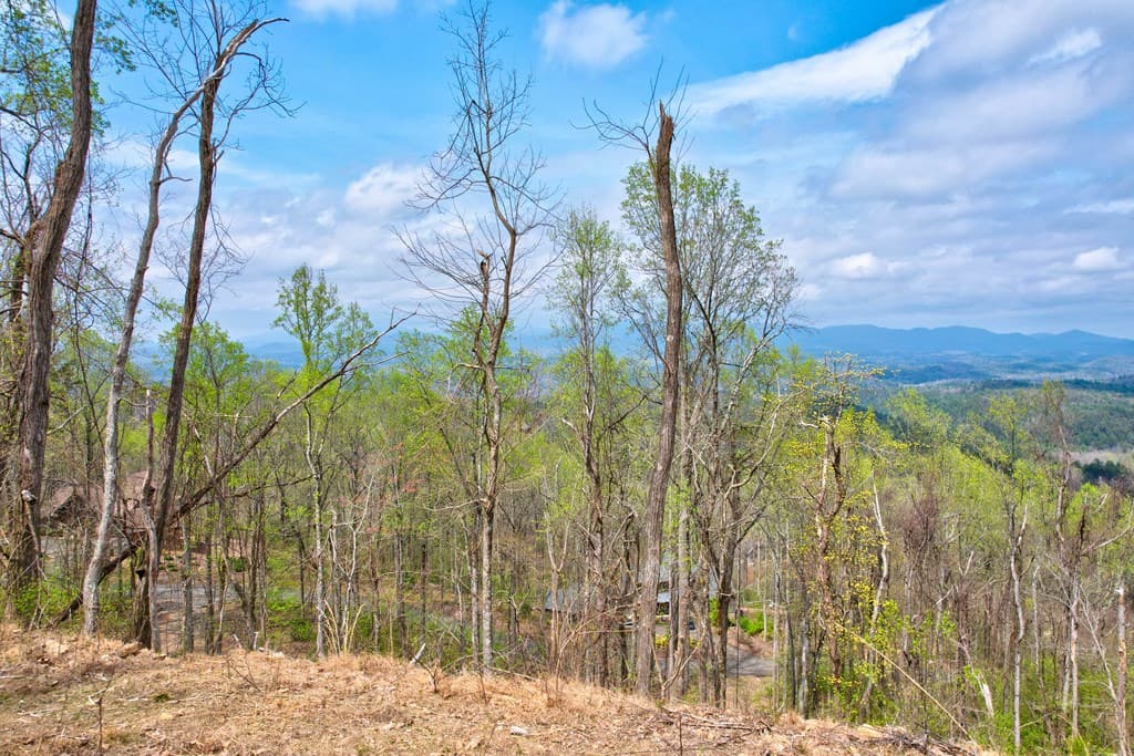 Lt 12&13 Greystone Trace, Ellijay GA 30540 - Photo