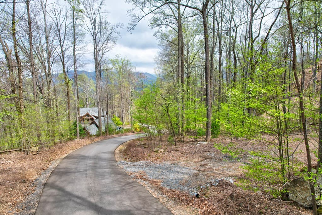 Lt 12&13 Greystone Trace, Ellijay GA 30540 - Photo