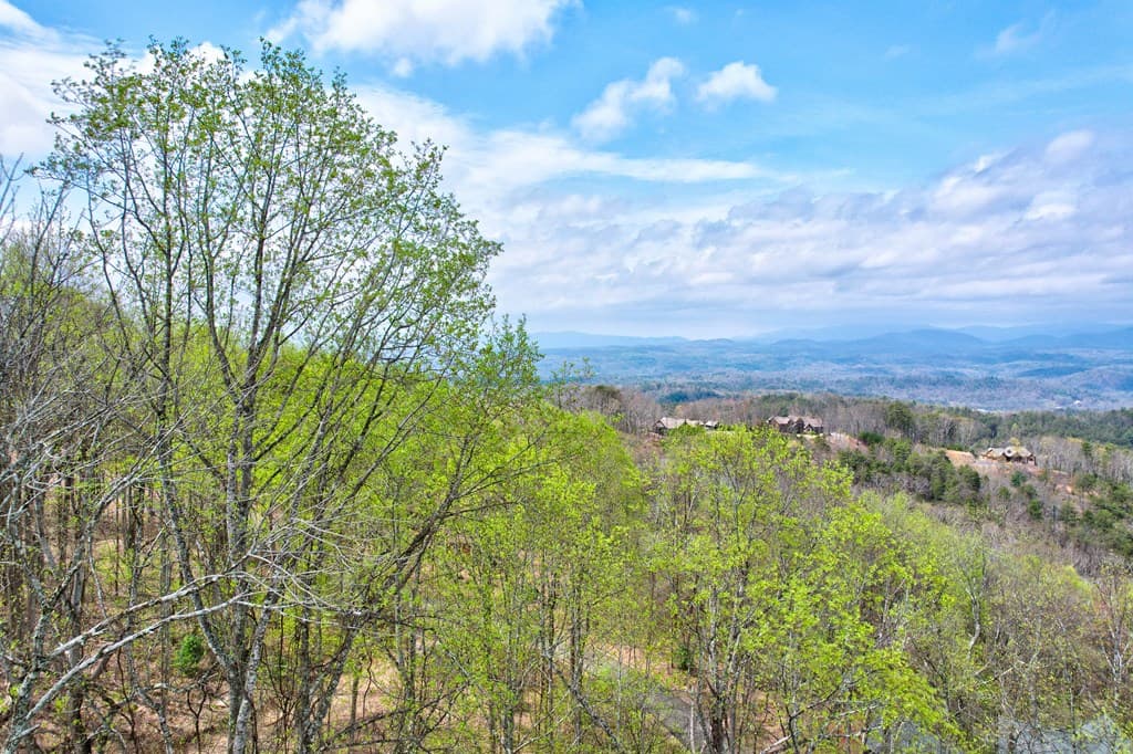 Lt 12&13 Greystone Trace, Ellijay GA 30540 - Photo