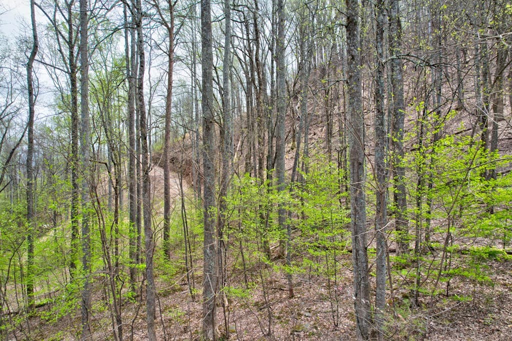 Lt 12&13 Greystone Trace, Ellijay GA 30540 - Photo