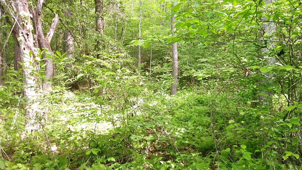 00 Mcdonald Road, Murphy NC 28906 - Photo