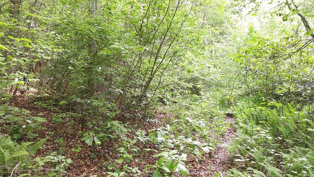 00 Mcdonald Road, Murphy NC 28906 - Photo