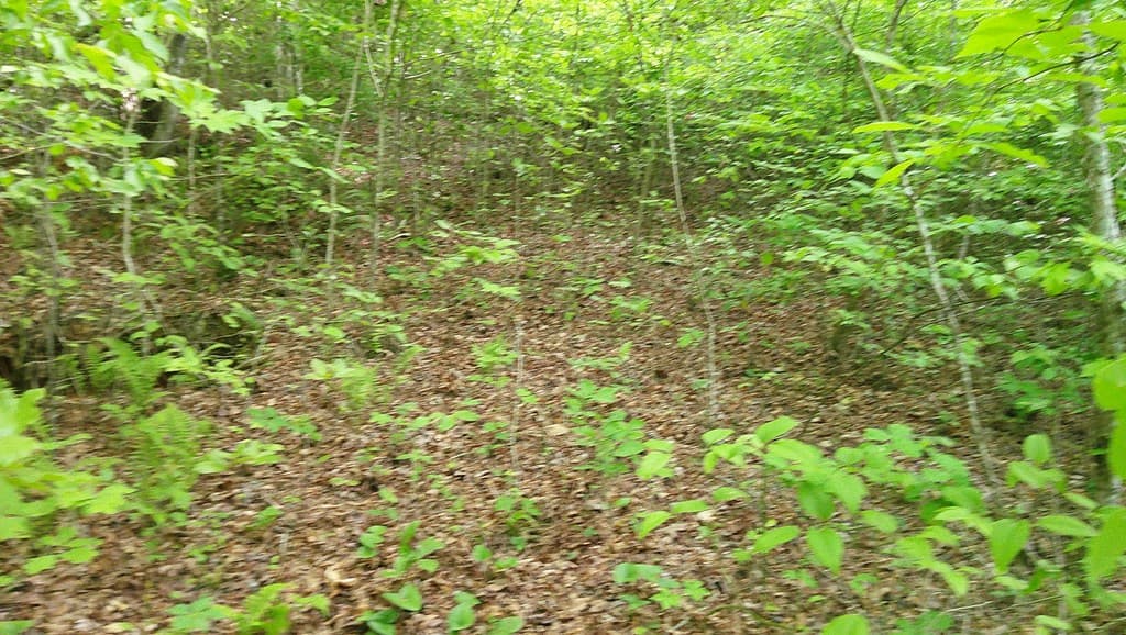 00 Mcdonald Road, Murphy NC 28906 - Photo