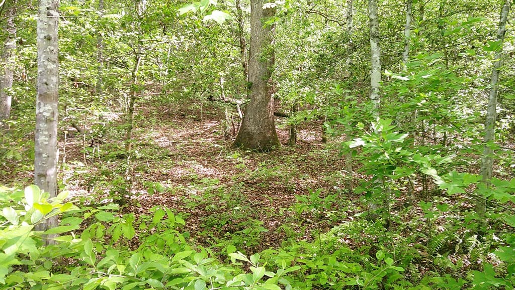 00 Mcdonald Road, Murphy NC 28906 - Photo