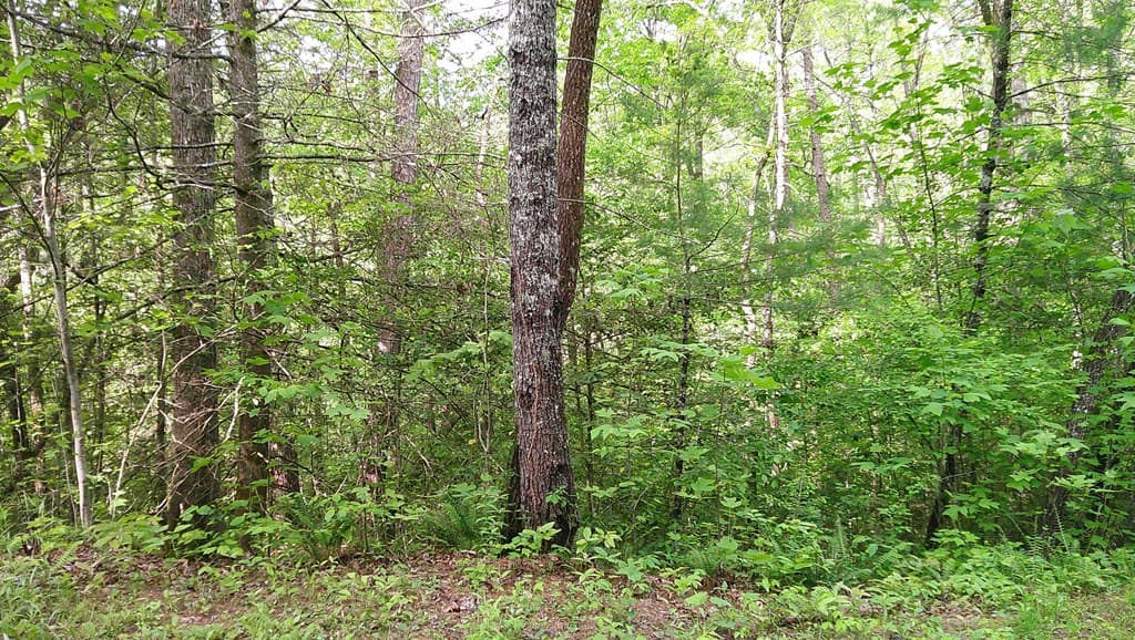 00 Mcdonald Road, Murphy NC 28906 - Photo